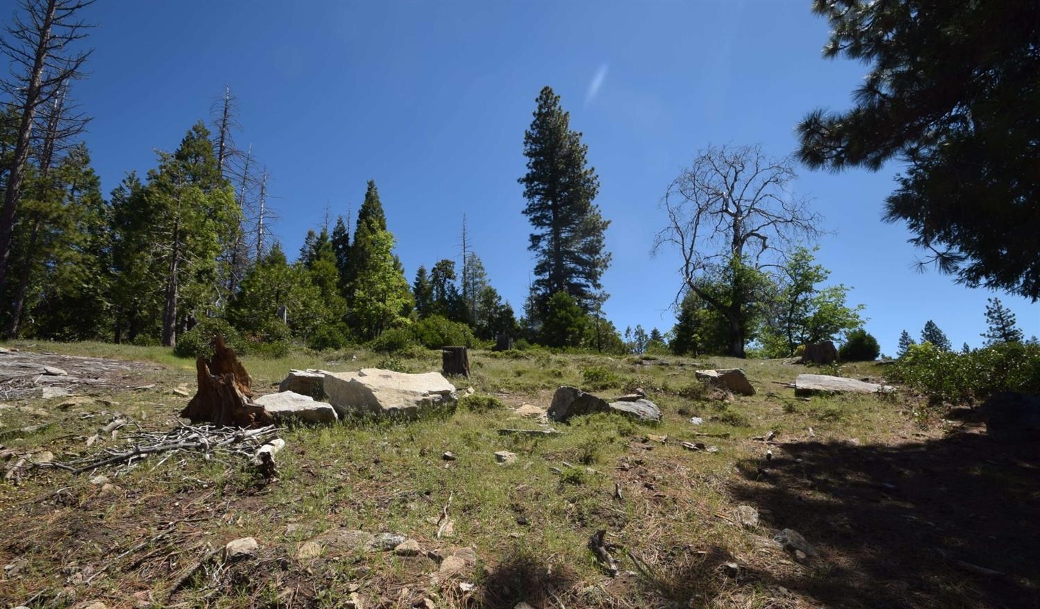 42387 Opal Ln #lot61, Shaver Lake, CA 93664