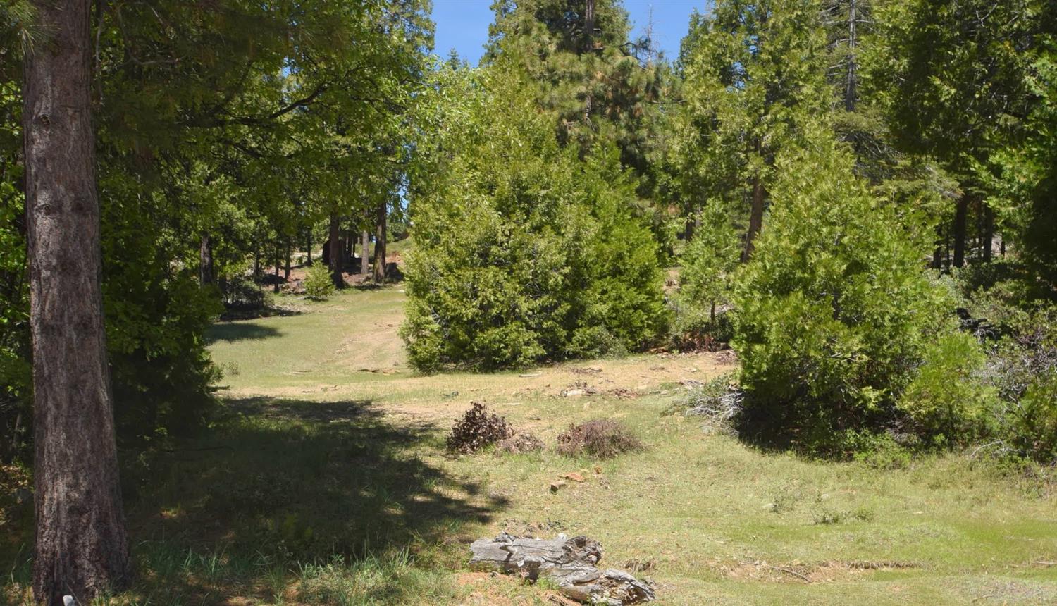 42101 Tourmaline Ln #lot79, Shaver Lake, CA 93664