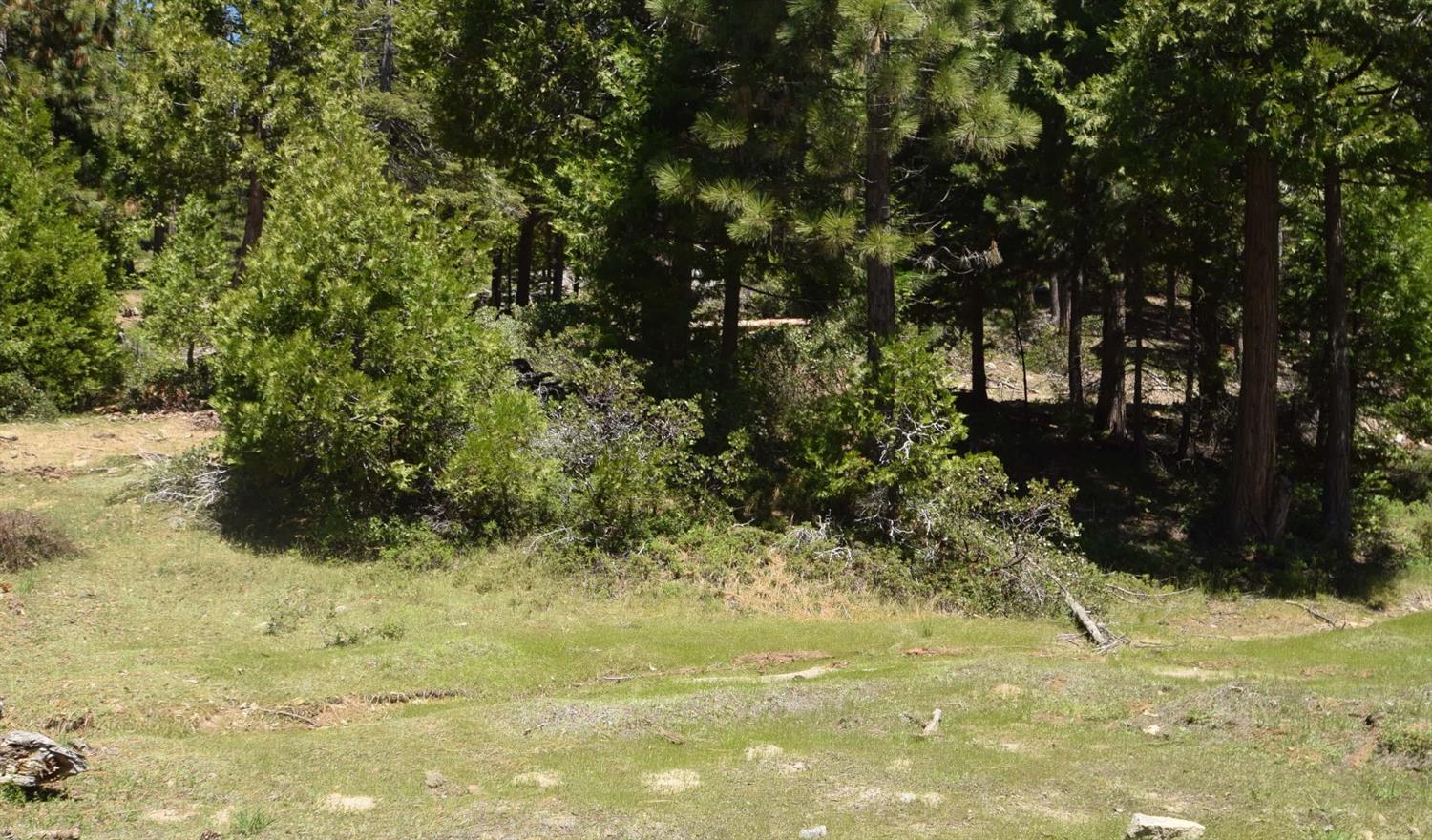 42101 Tourmaline Ln #lot79, Shaver Lake, CA 93664