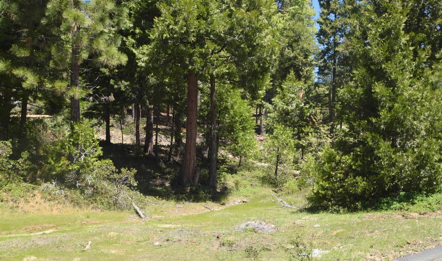 42101 Tourmaline Ln #lot79, Shaver Lake, CA 93664