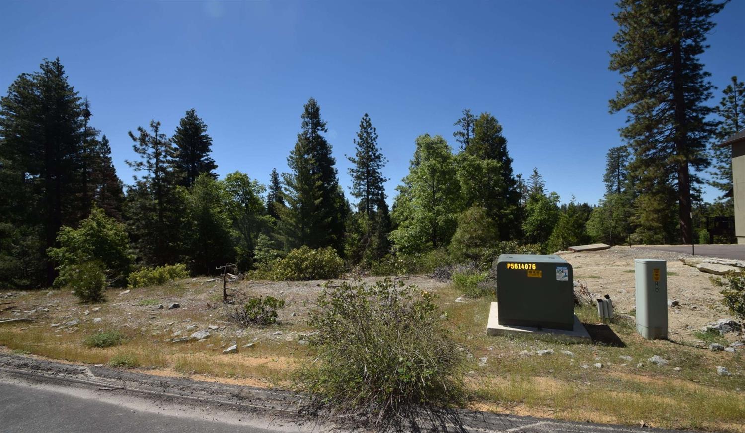 42456 Opal Ln #lot69, Shaver Lake, CA 93664