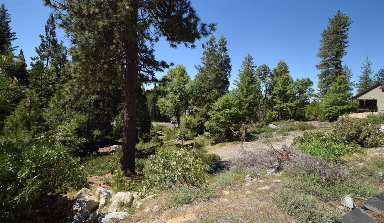 42456 Opal Ln #lot69, Shaver Lake, CA 93664