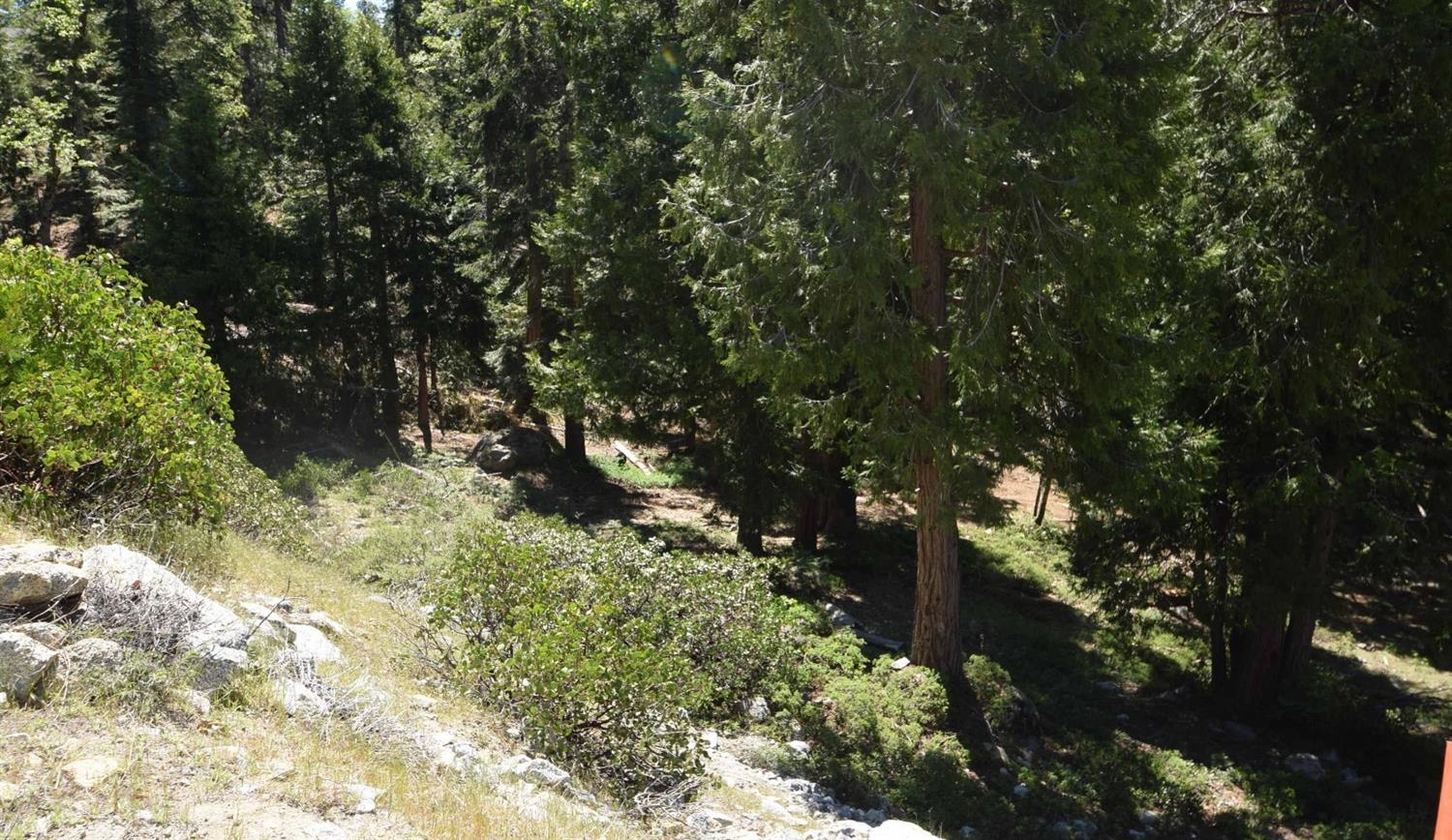 42506 Opal Ln #lot68, Shaver Lake, CA 93664