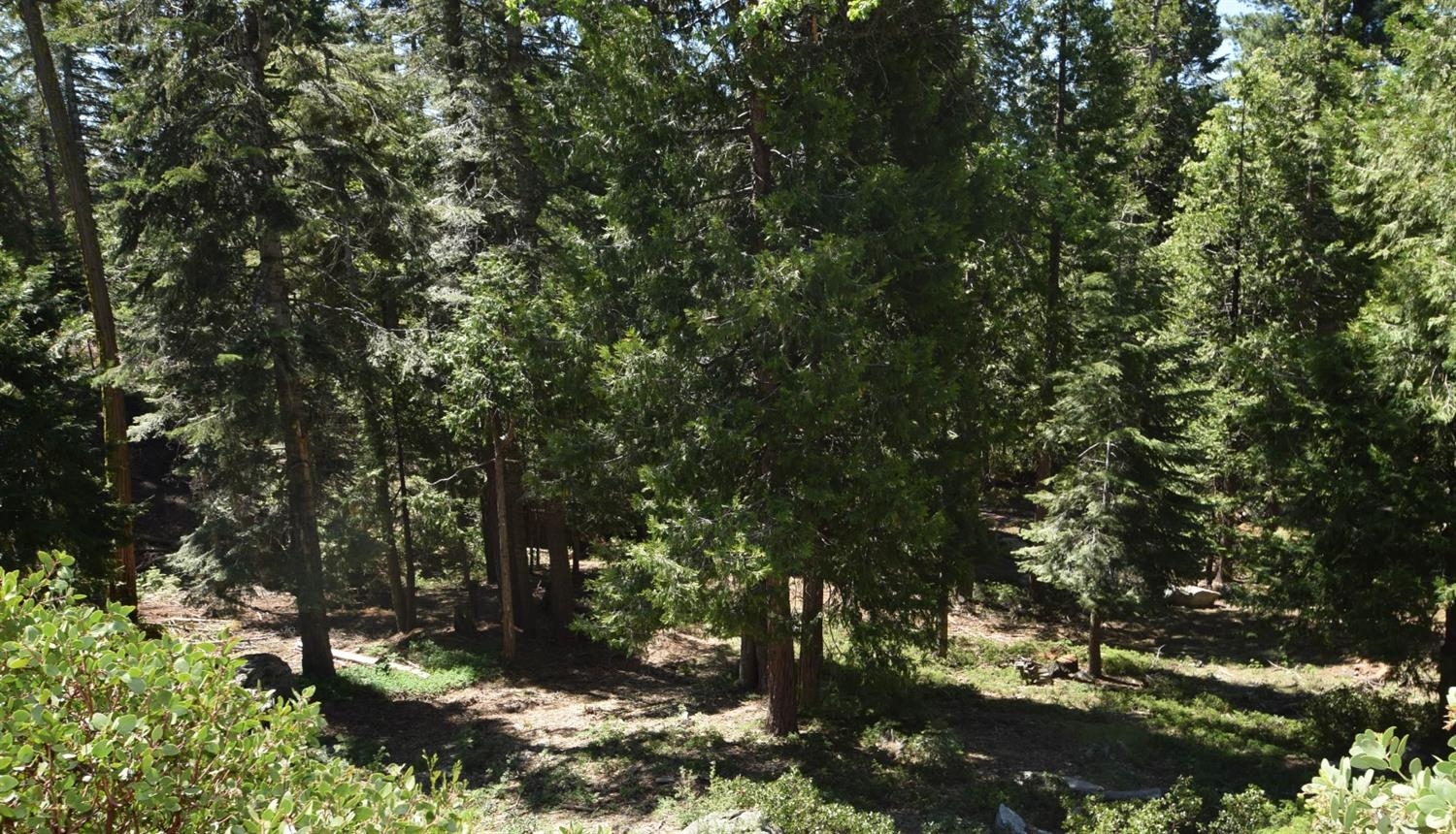 42506 Opal Ln #lot68, Shaver Lake, CA 93664
