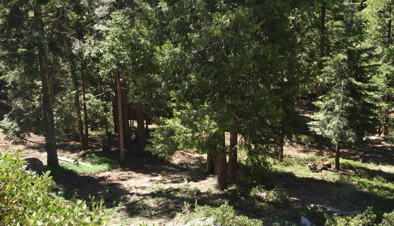 42506 Opal Ln #lot68, Shaver Lake, CA 93664