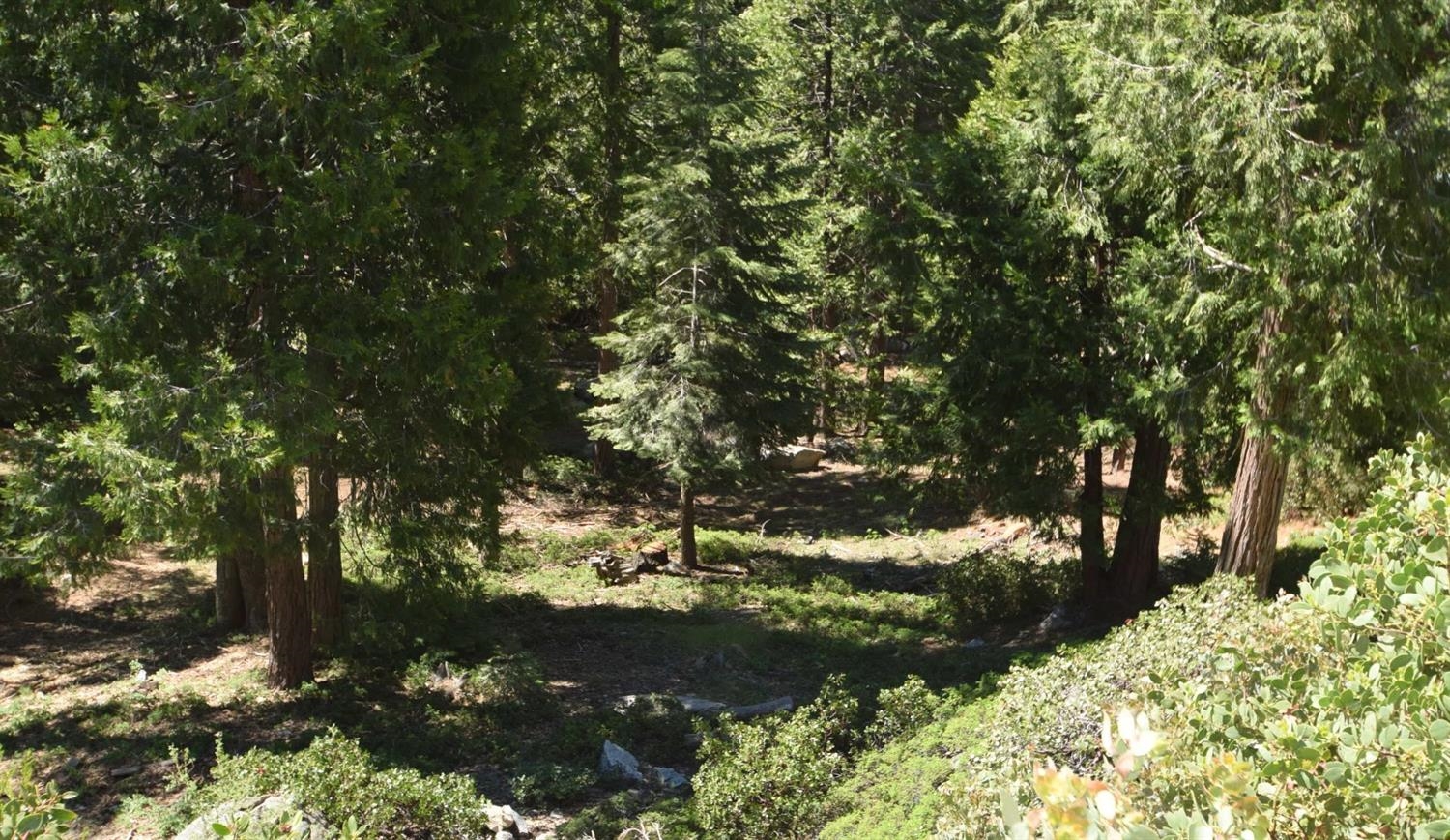 42506 Opal Ln #lot68, Shaver Lake, CA 93664