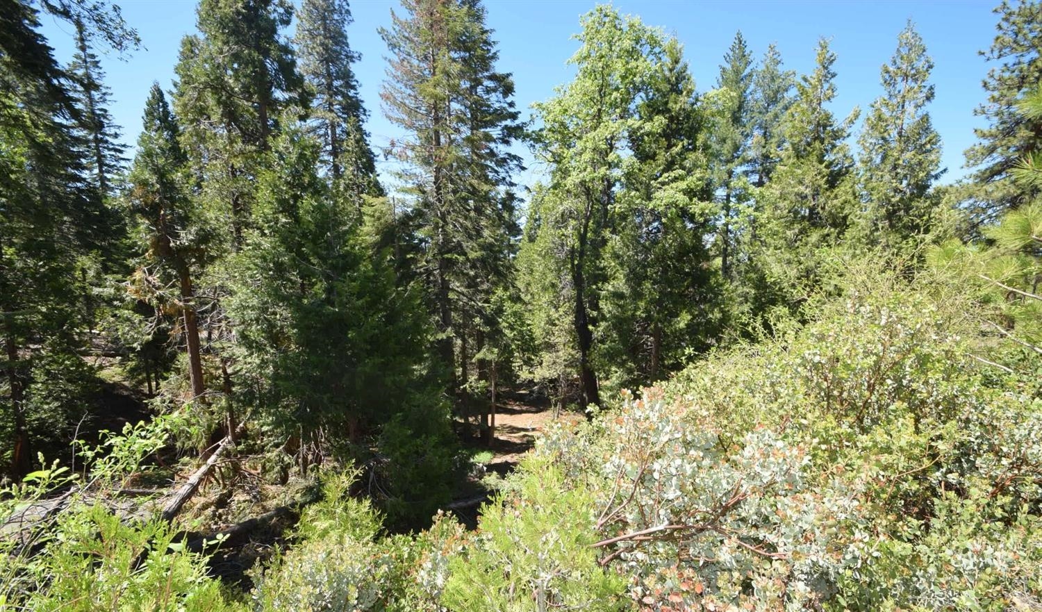 42506 Opal Ln #lot68, Shaver Lake, CA 93664