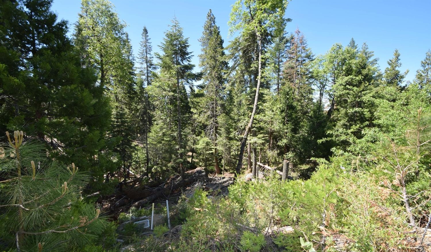 42506 Opal Ln #lot68, Shaver Lake, CA 93664