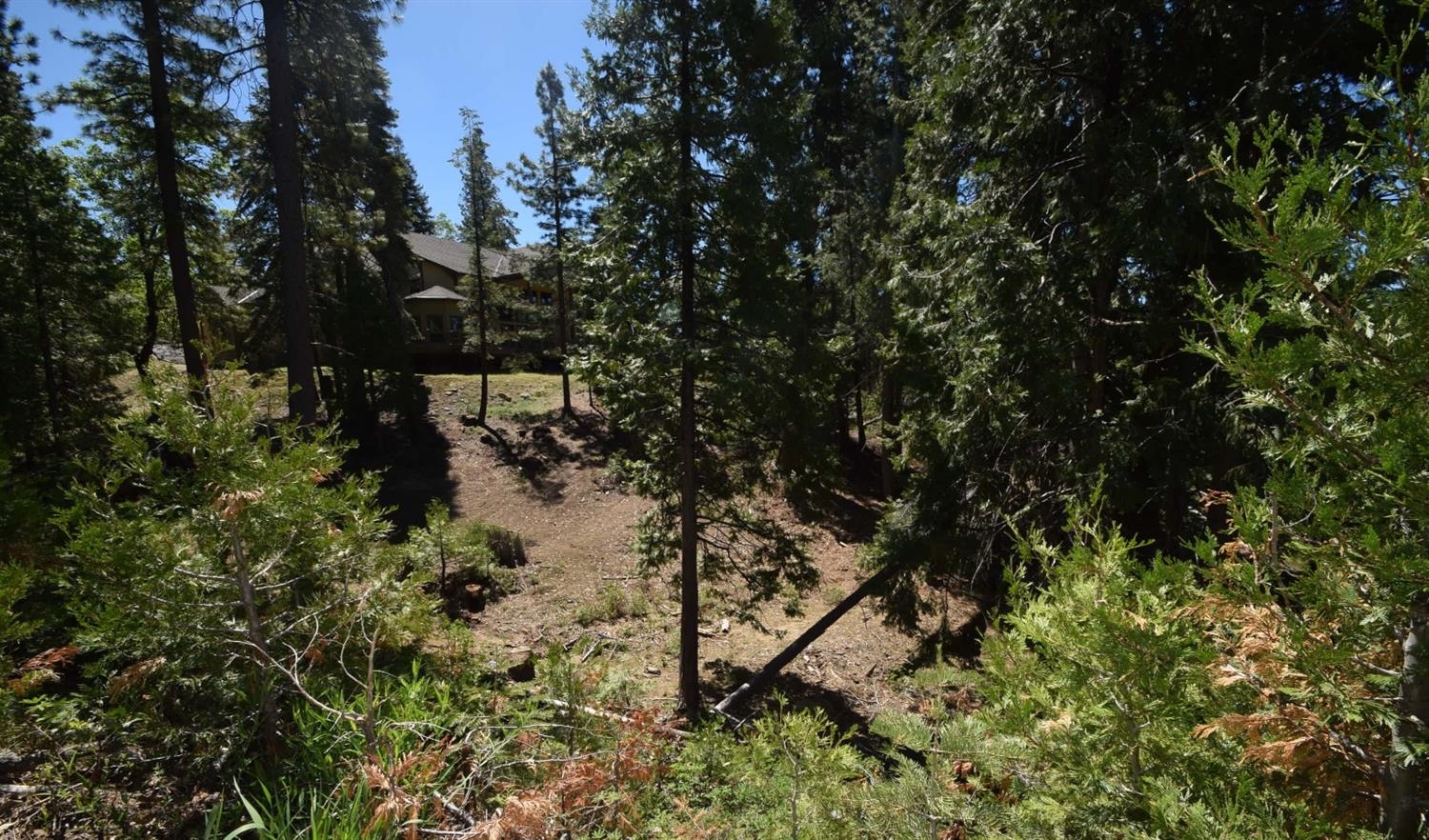 42568 Opal Ln #lot67, Shaver Lake, CA 93664