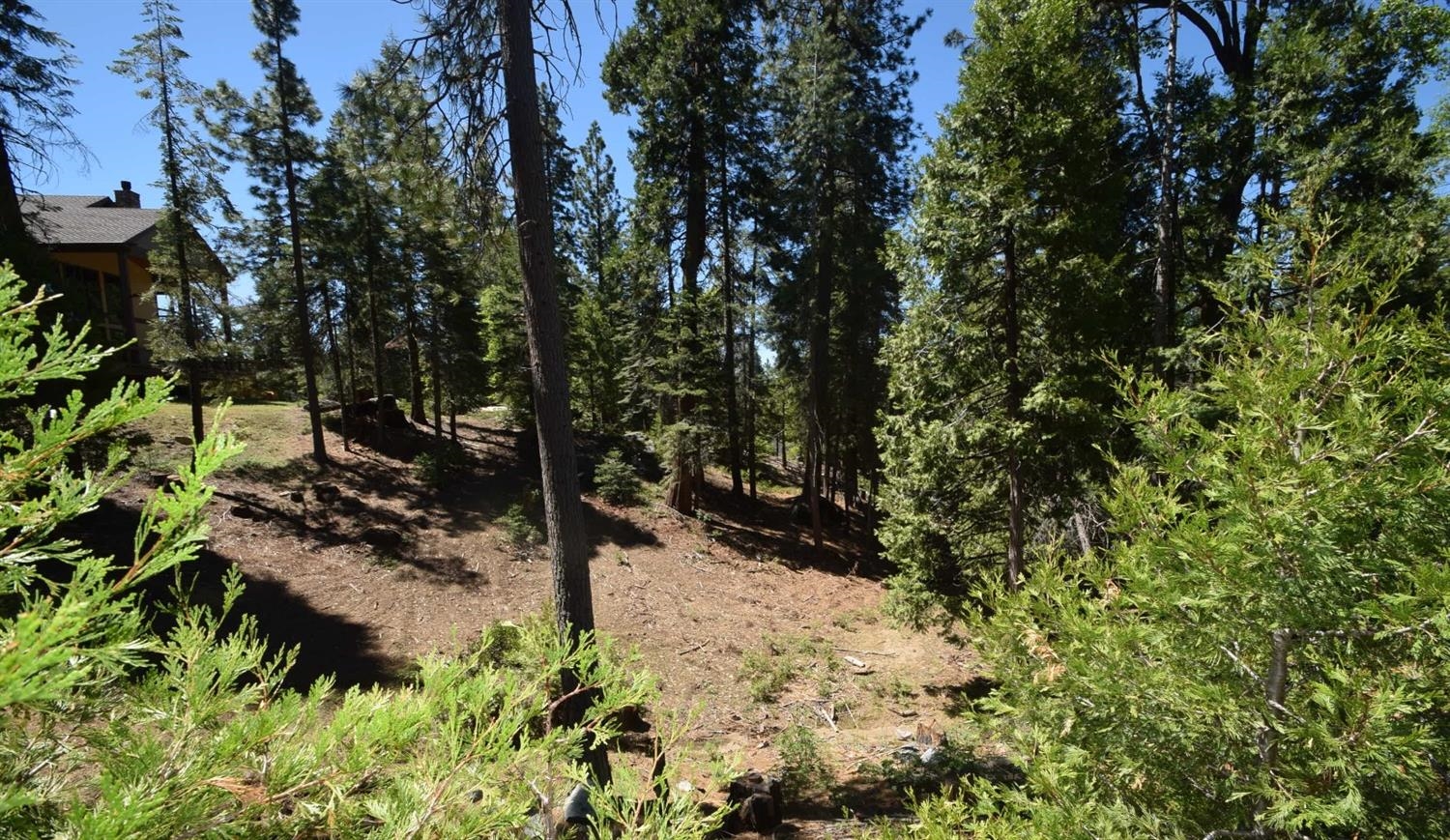 42568 Opal Ln #lot67, Shaver Lake, CA 93664