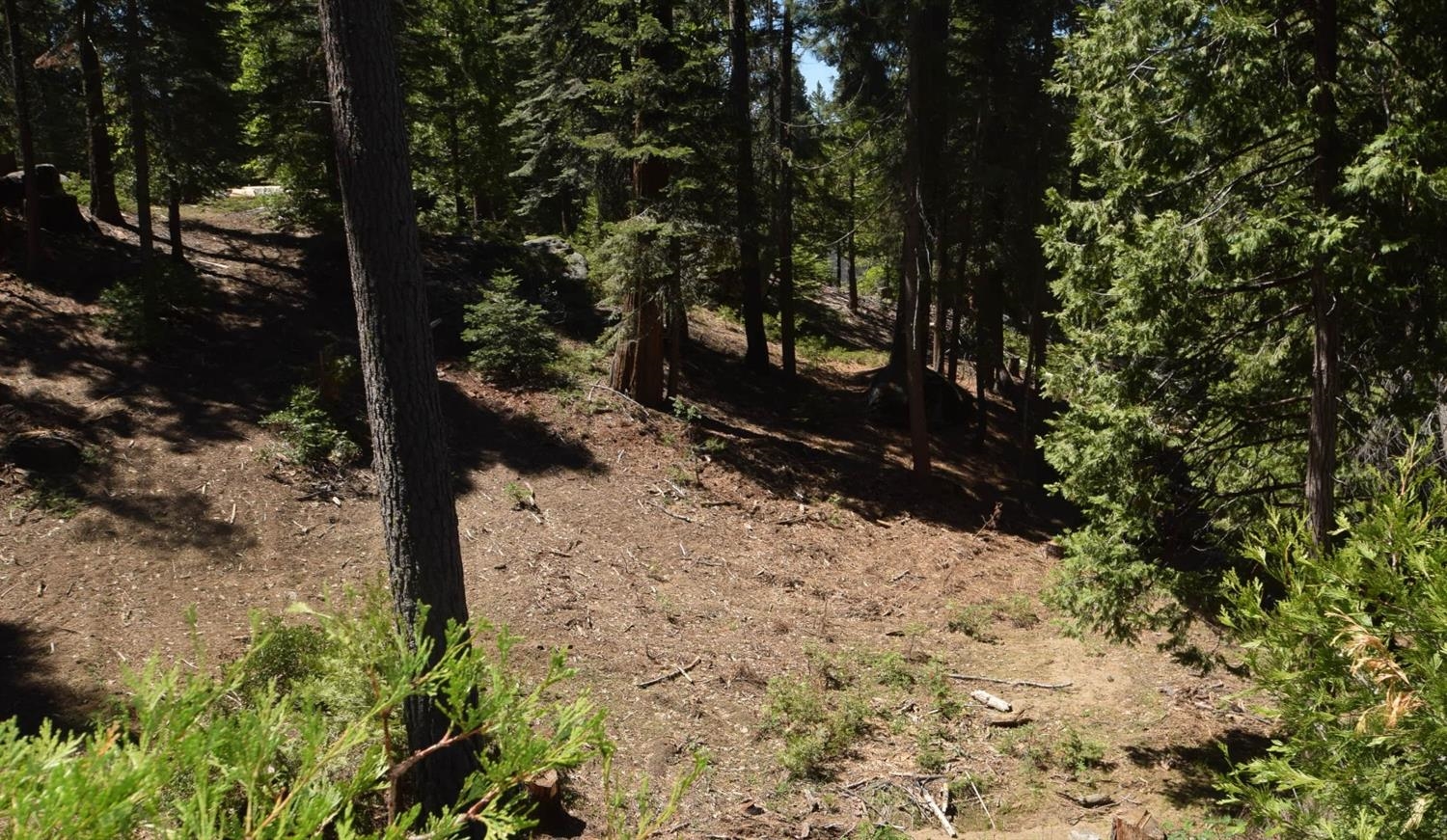 42568 Opal Ln #lot67, Shaver Lake, CA 93664