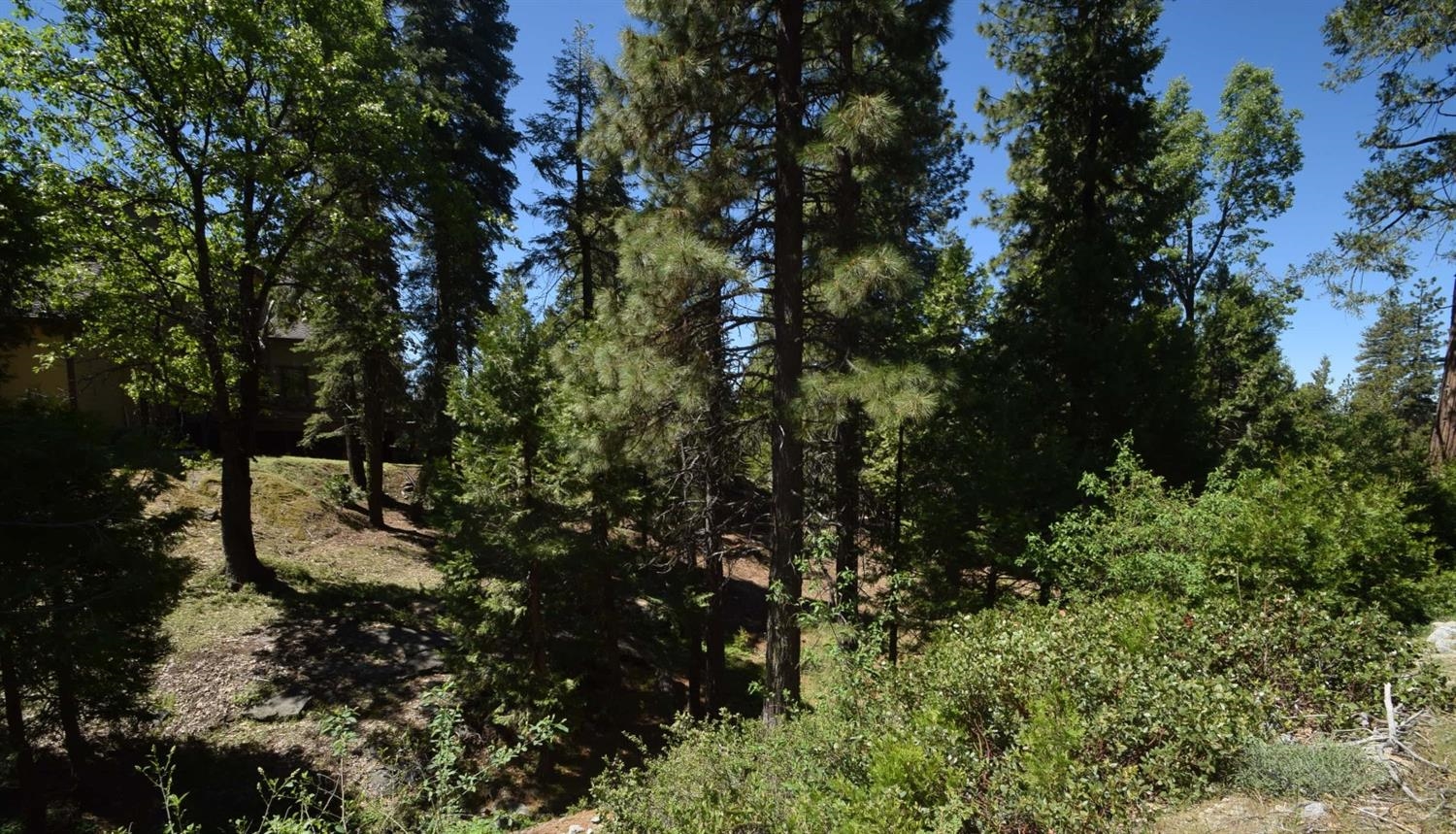 42568 Opal Ln #lot67, Shaver Lake, CA 93664