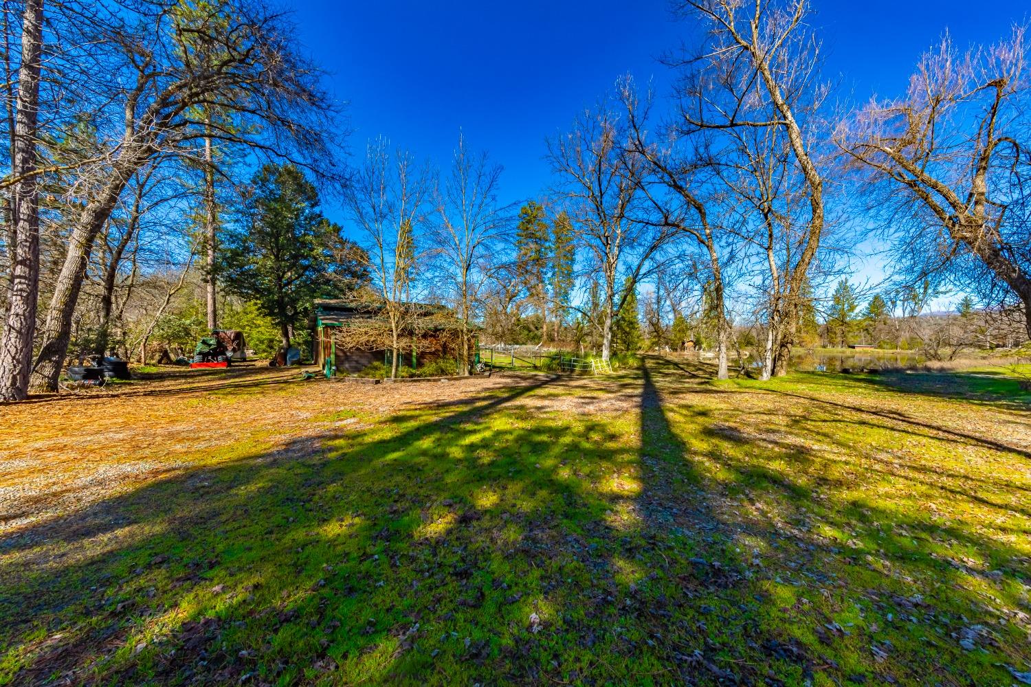 0 4.53 AC Wortham Rd, Oakhurst, CA 93644