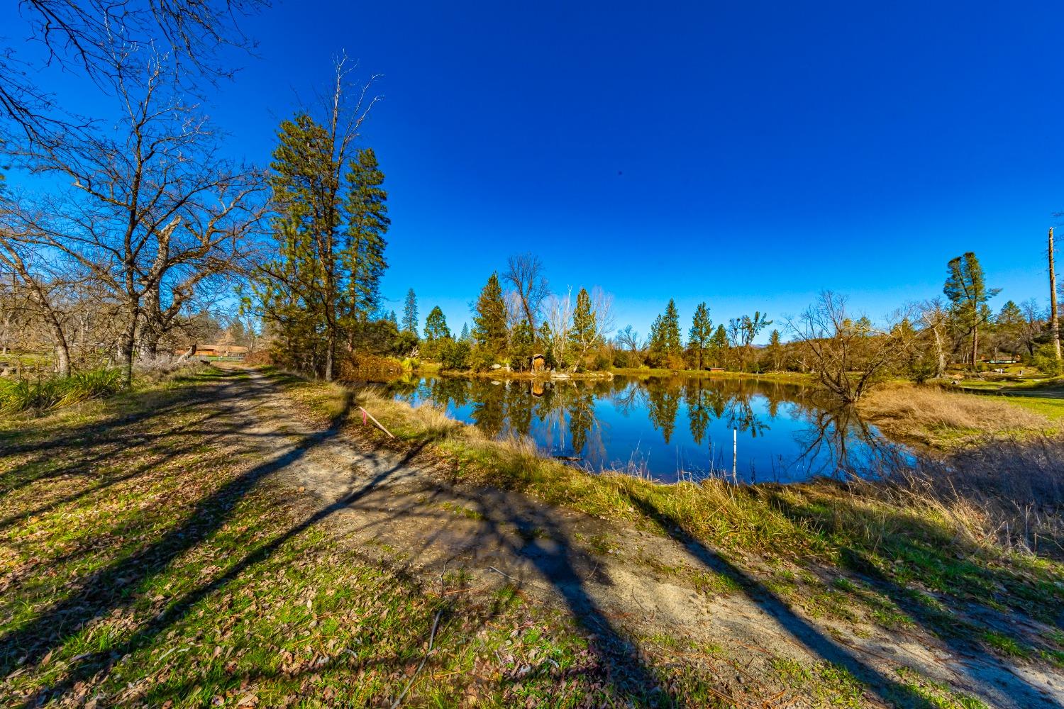 0 4.53 AC Wortham Rd, Oakhurst, CA 93644