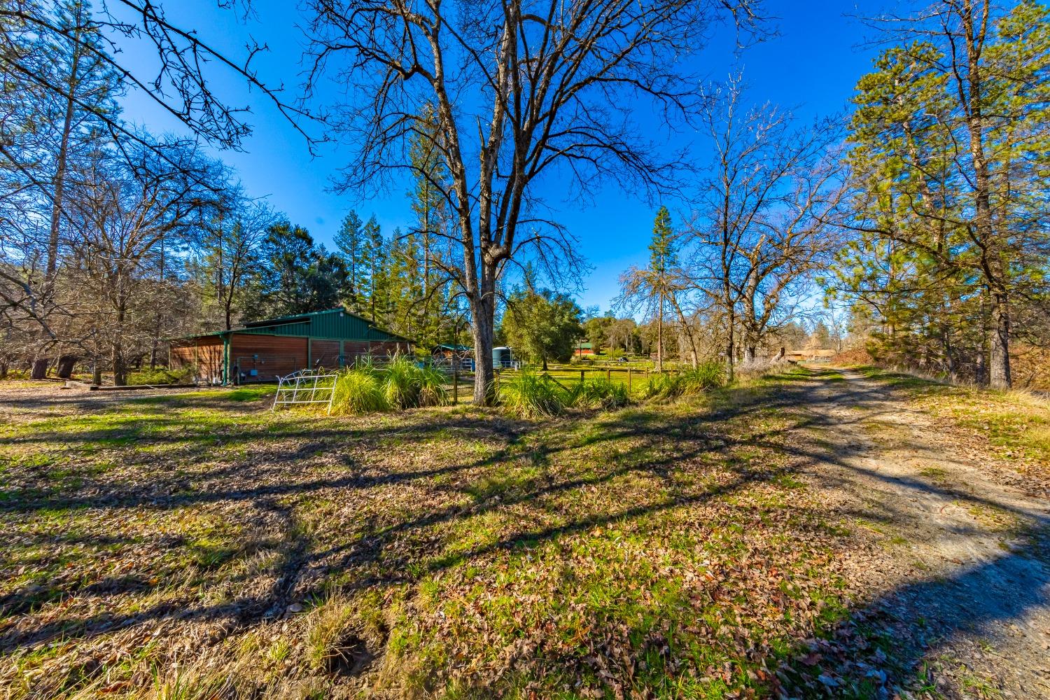 0 4.53 AC Wortham Rd, Oakhurst, CA 93644