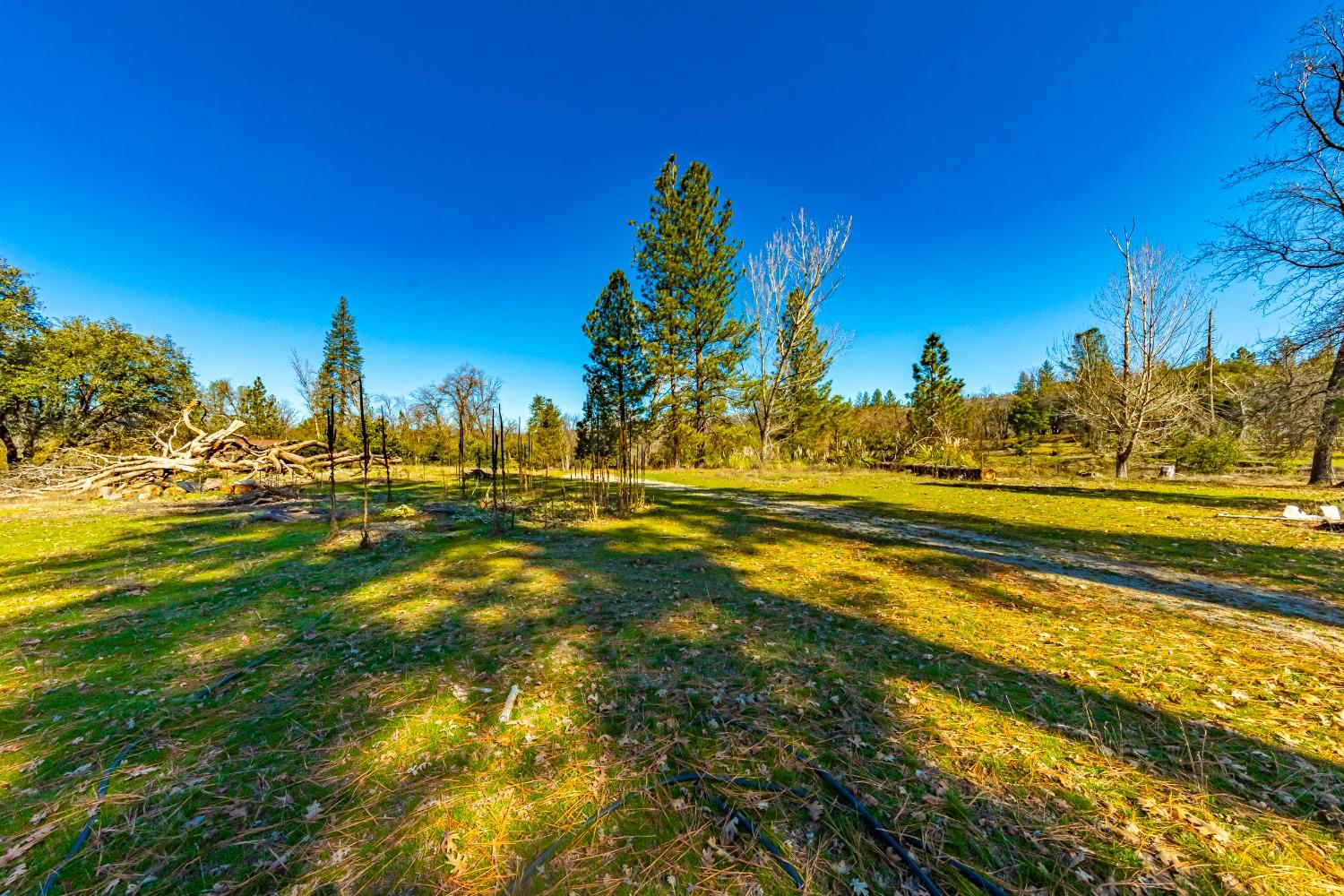 0 4.53 AC Wortham Rd, Oakhurst, CA 93644