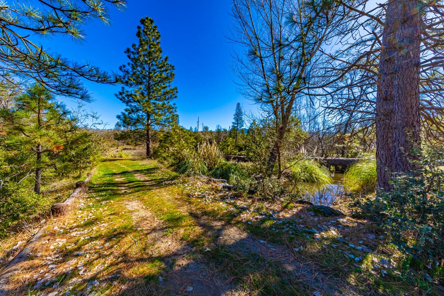 0 4.53 AC Wortham Rd, Oakhurst, CA 93644