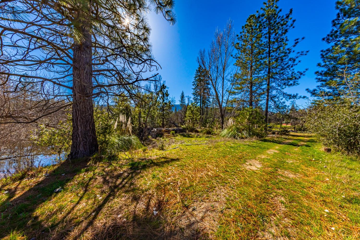 0 4.53 AC Wortham Rd, Oakhurst, CA 93644