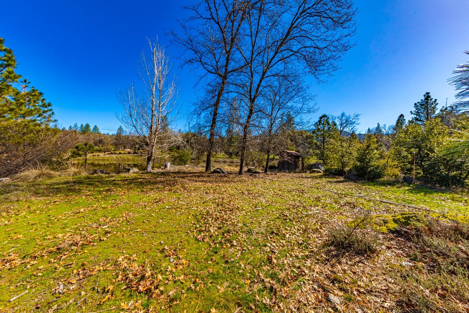 0 4.53 AC Wortham Rd, Oakhurst, CA 93644