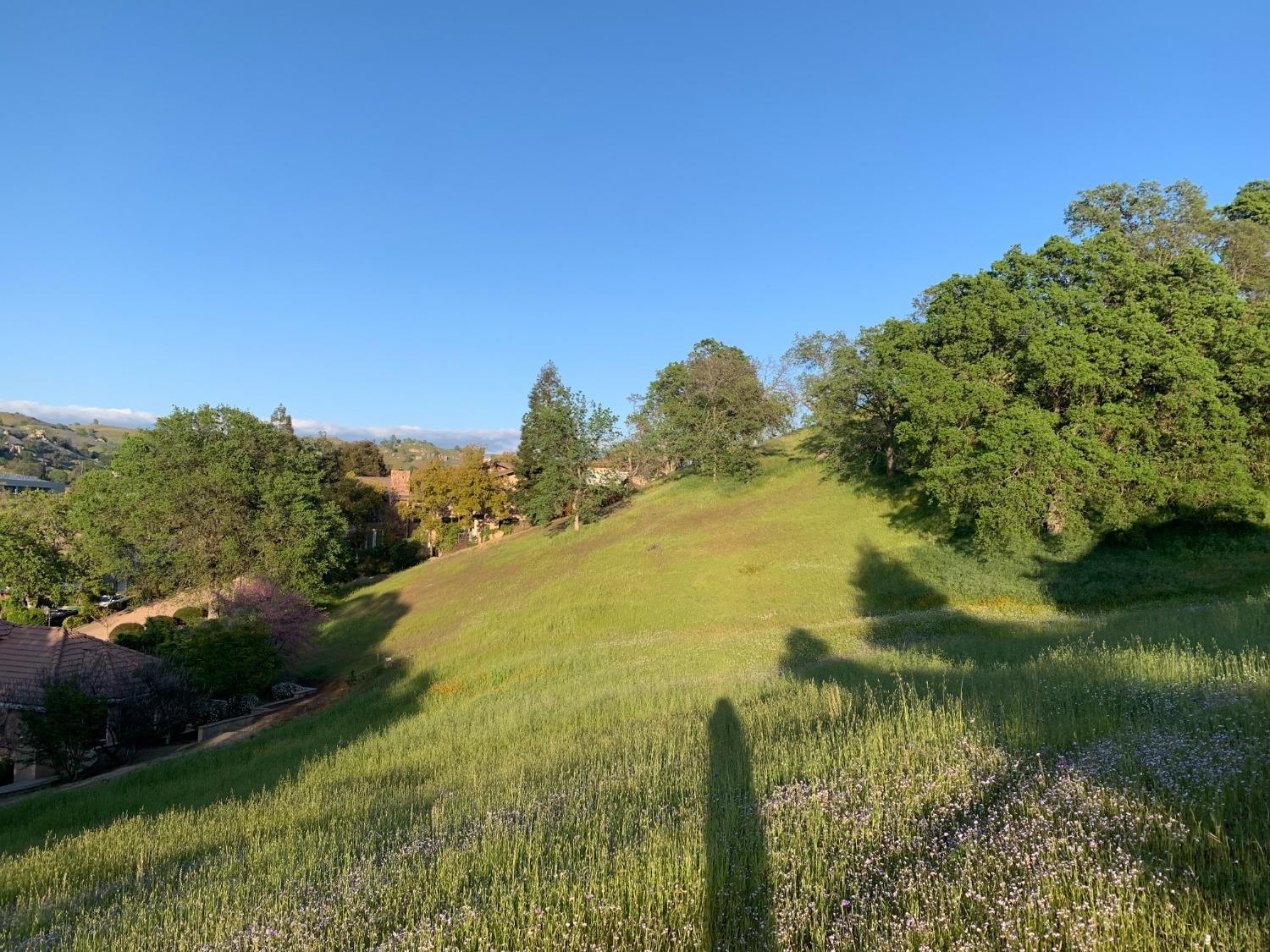 7 Glenhaven Ln, Friant, CA 93626