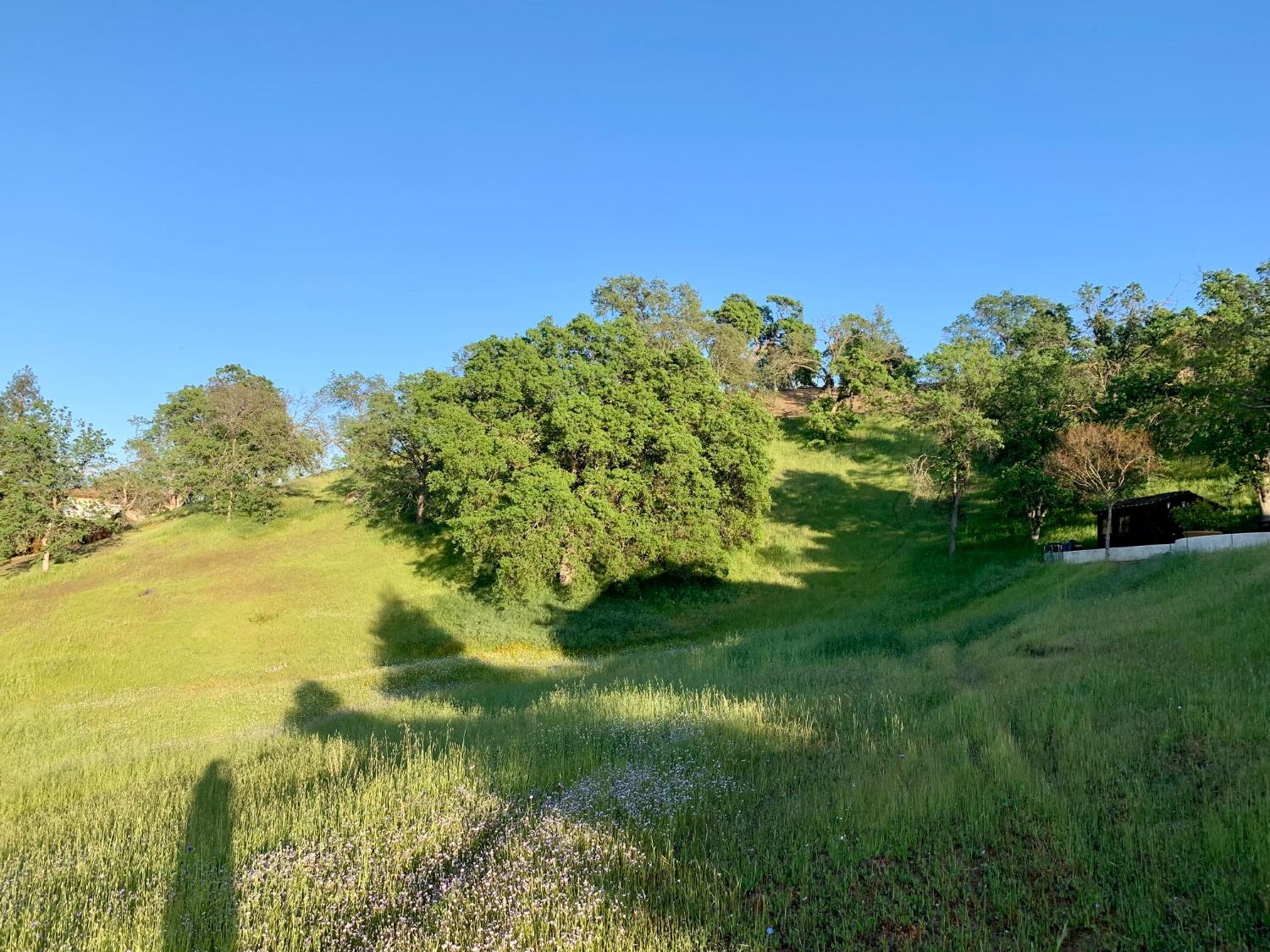 7 Glenhaven Ln, Friant, CA 93626