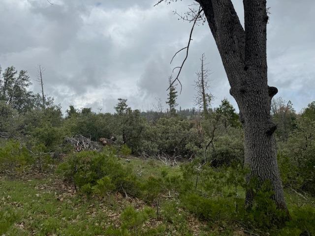 0 00 Auberry Road/Honey Ln, Auberry, CA 93602