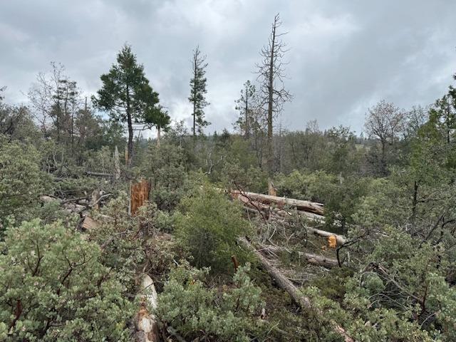 0 00 Auberry Road/Honey Ln, Auberry, CA 93602