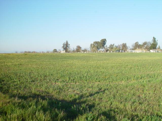 1 AVE. 22 1/2, Chowchilla, CA 93610