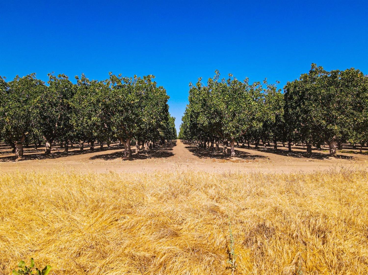 80 Avenue 21 1/2, Madera, CA 93638