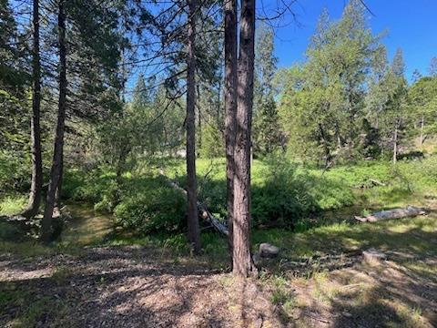 0 0 Teaford Poyah, North Fork, CA 93643