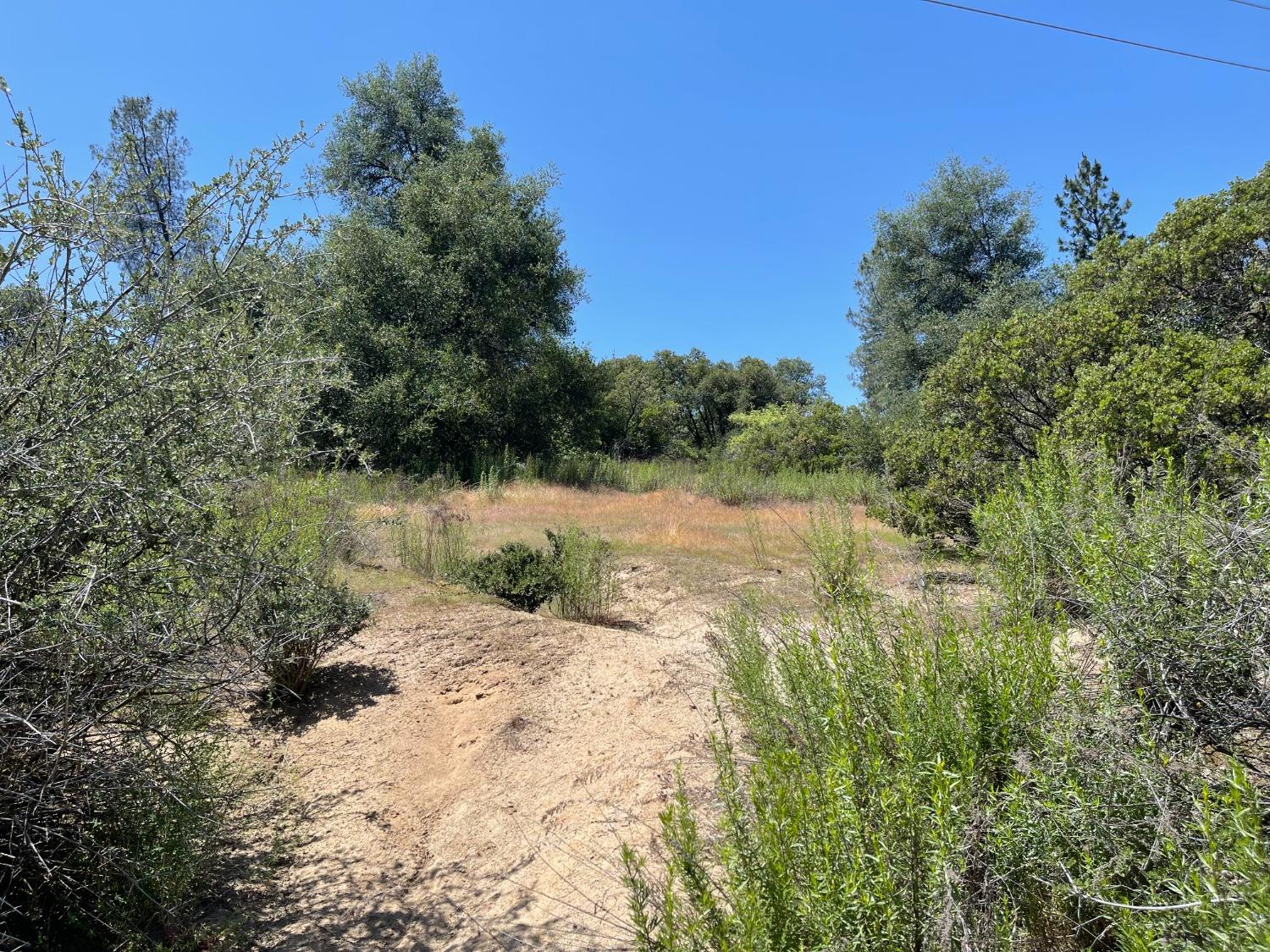 31 Hangtree Ct, Oakhurst, CA 93644