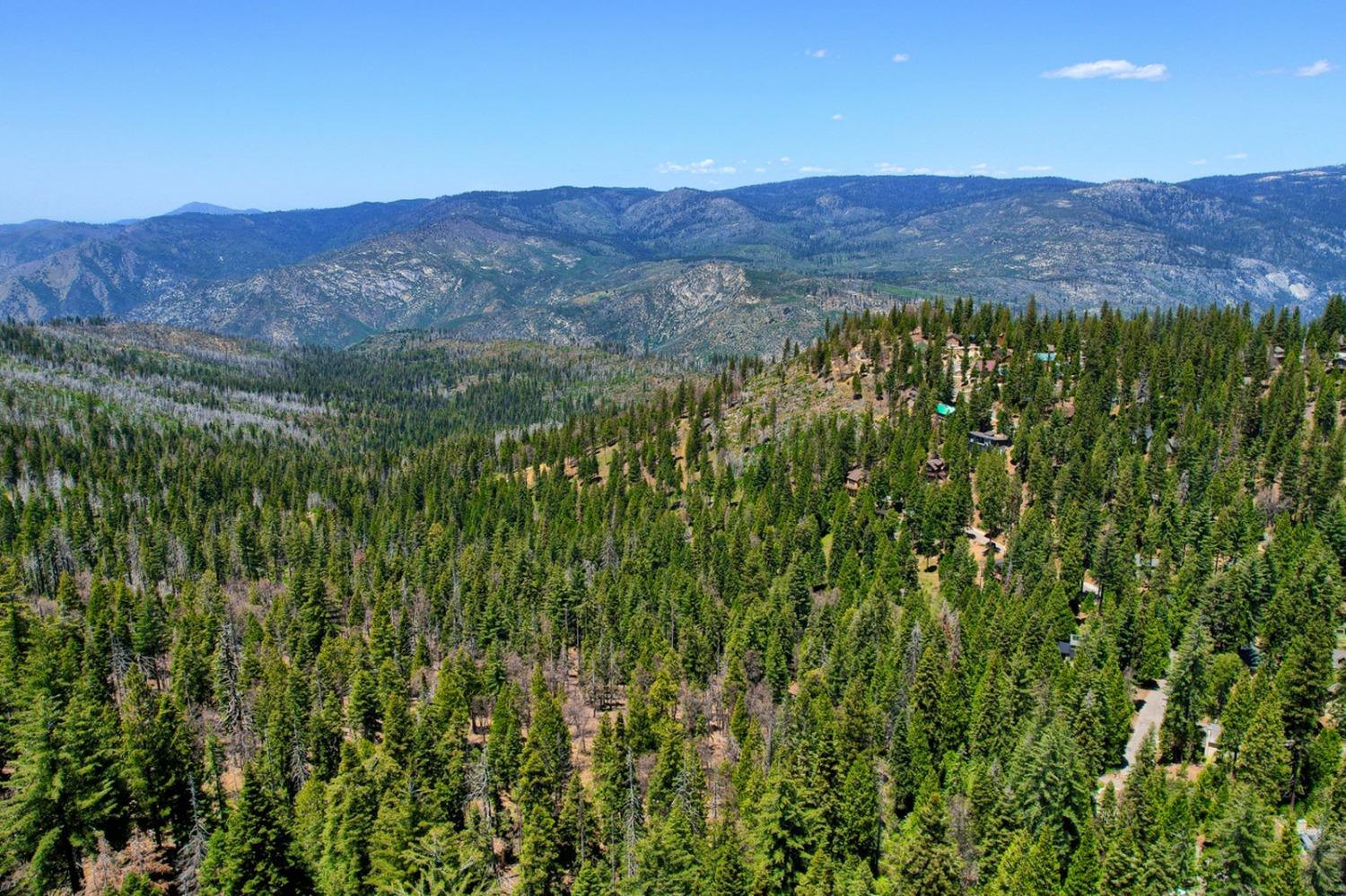 7400 Choke Cherry Ln, Yosemite, CA 95389