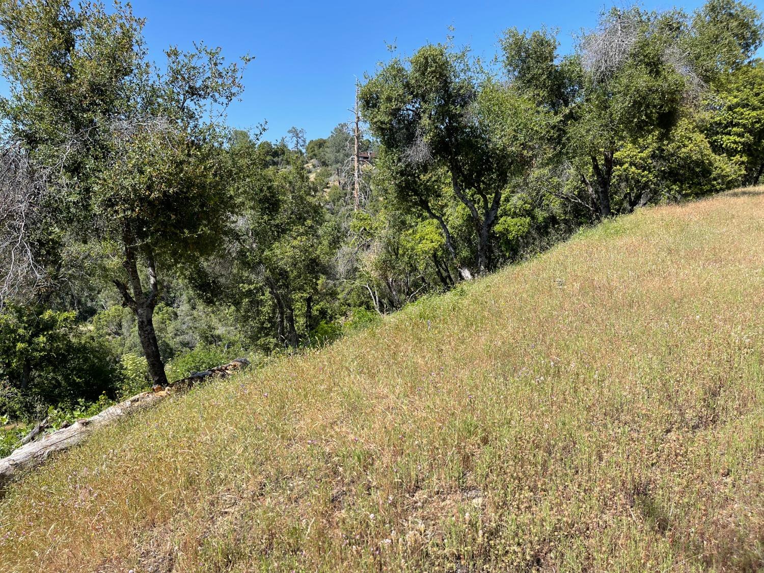 65 Misty Ridge Dr, Raymond, CA 93653