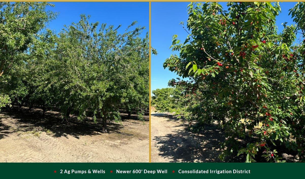 0 0 NEC Chestnut & Mountain View Ave, Selma, CA 93662