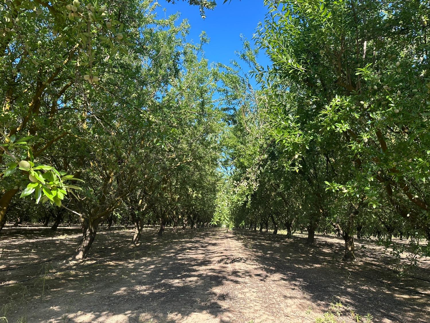 0 0 NEC Chestnut & Mountain View Ave, Selma, CA 93662