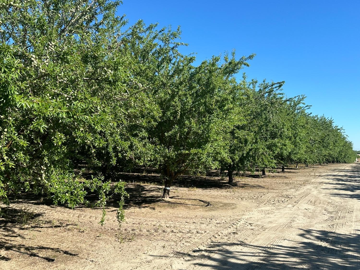 0 0 NEC Chestnut & Mountain View Ave, Selma, CA 93662