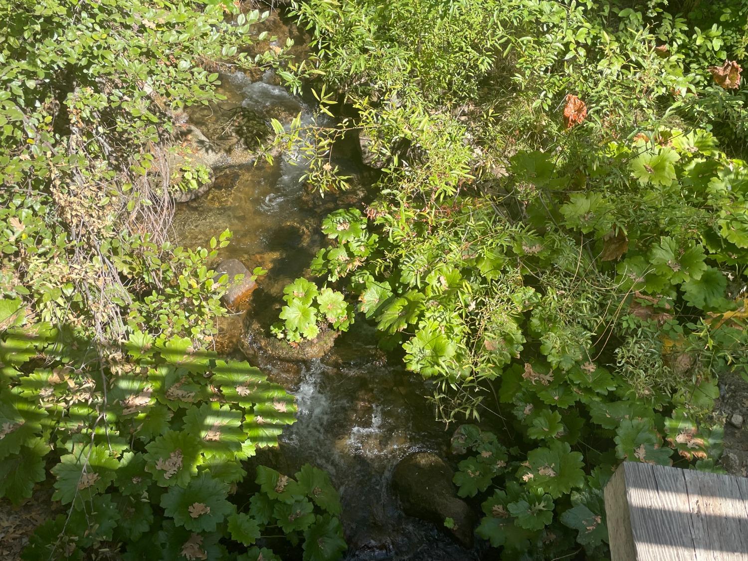 59479 Cascadel Dr., North Fork, CA 93643