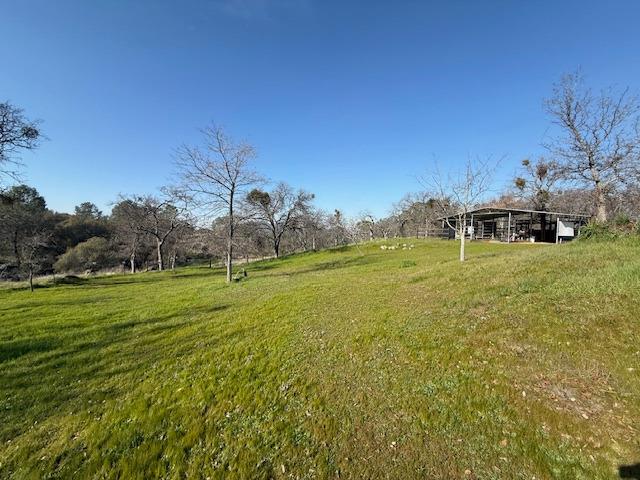 31915 Pennyroyal Ln, Prather, CA 93651