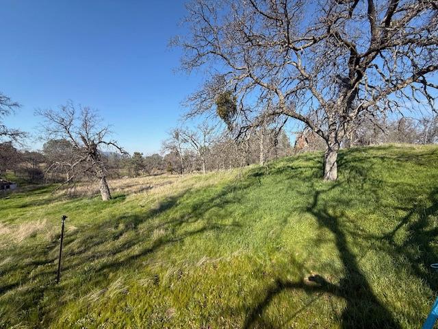 31915 Pennyroyal Ln, Prather, CA 93651