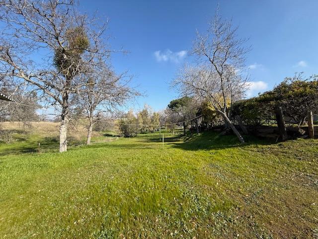 31915 Pennyroyal Ln, Prather, CA 93651