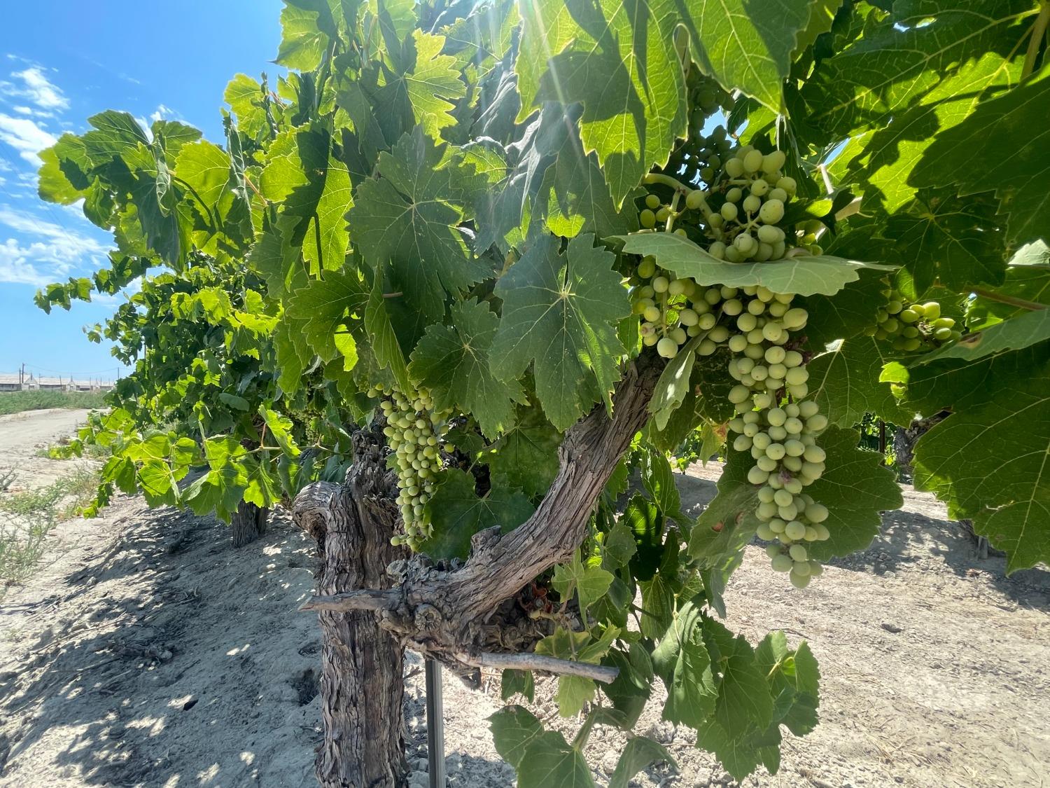 1 S Plumas Ave, Kerman, CA 93630