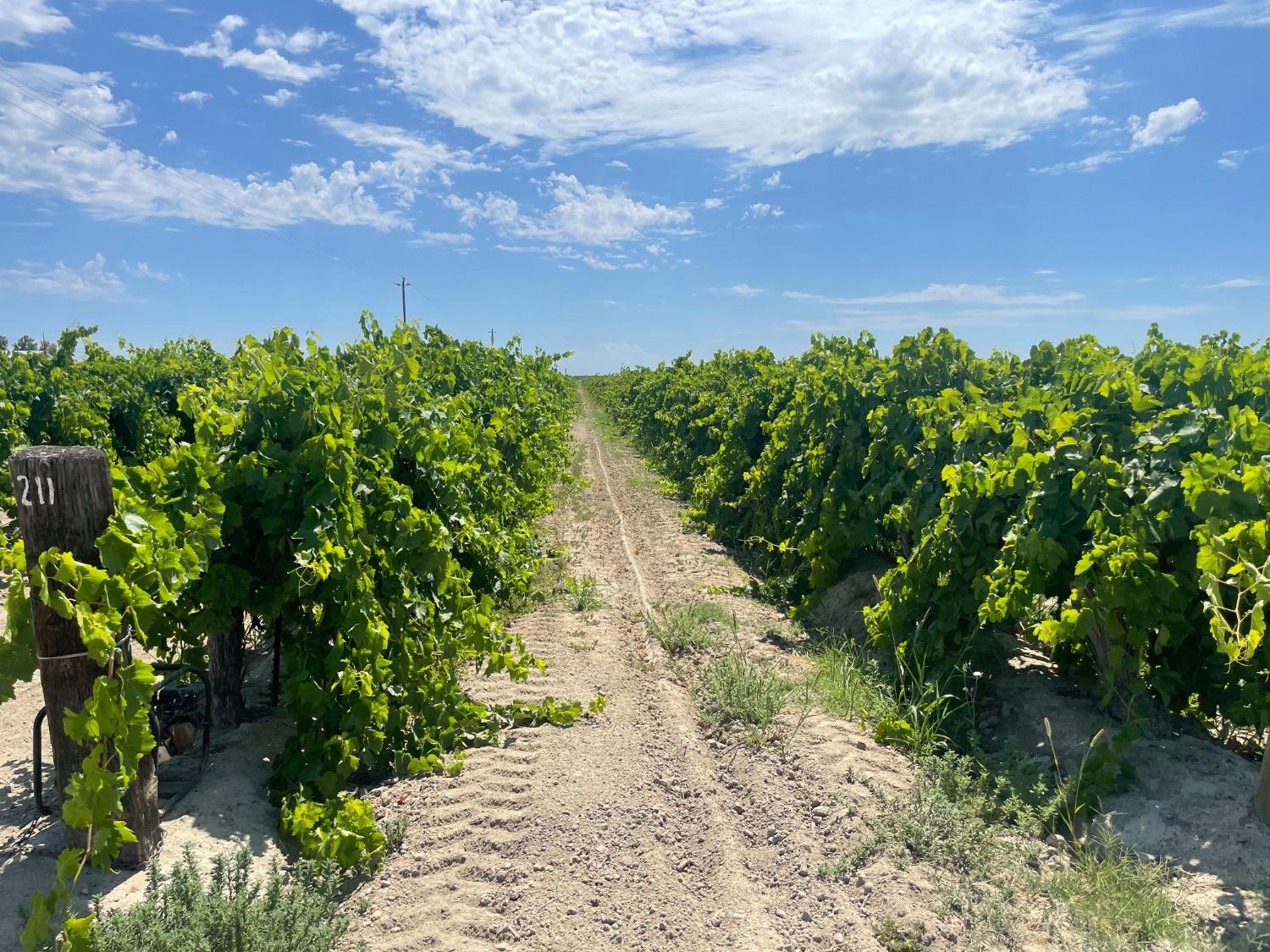 1 S Plumas Ave, Kerman, CA 93630