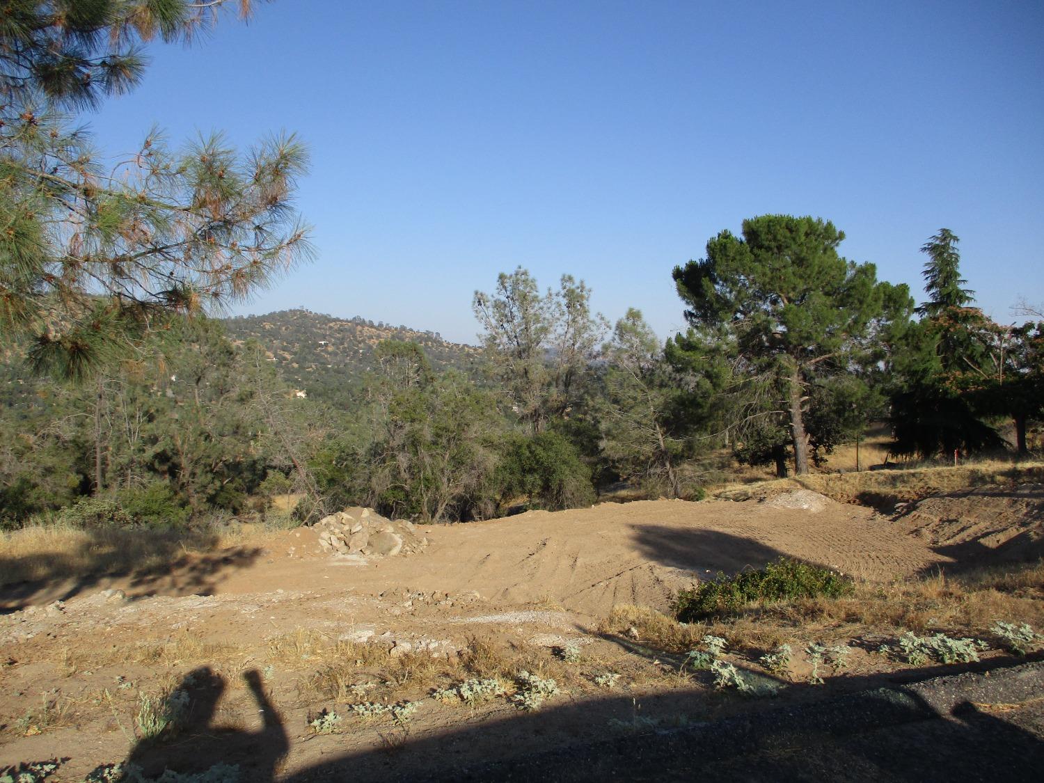 42112 Colt Way, Coarsegold, CA 93614