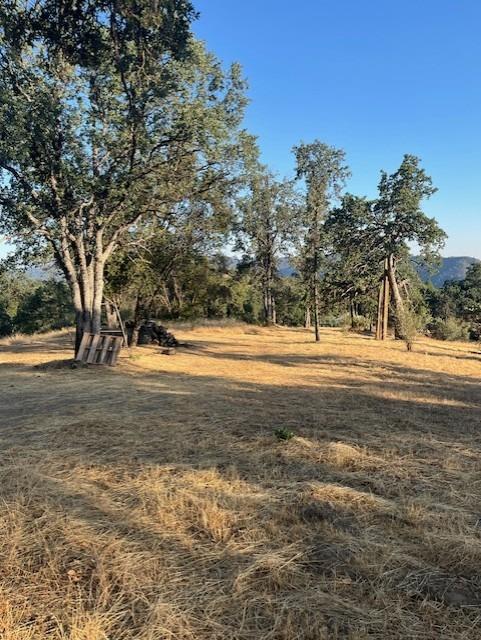 0 0 Knickerbocker, Ahwahnee, CA 93601