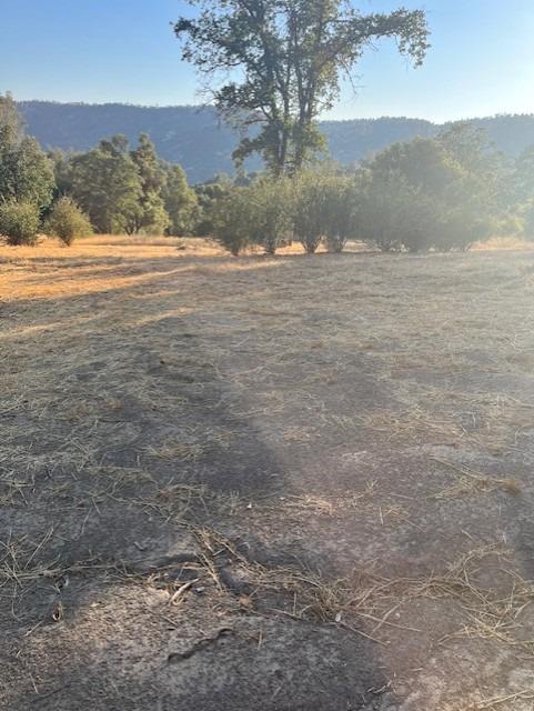 0 0 Knickerbocker, Ahwahnee, CA 93601