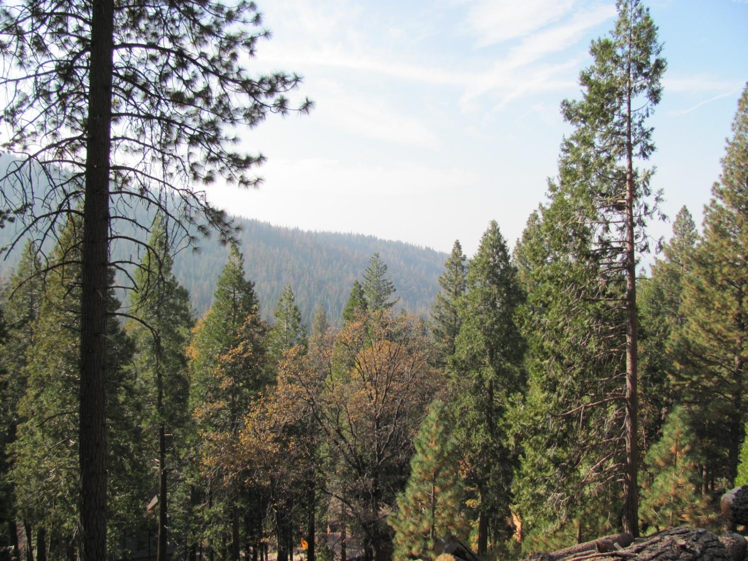 7343 Yosemite Park Way, Yosemite West, CA 95389