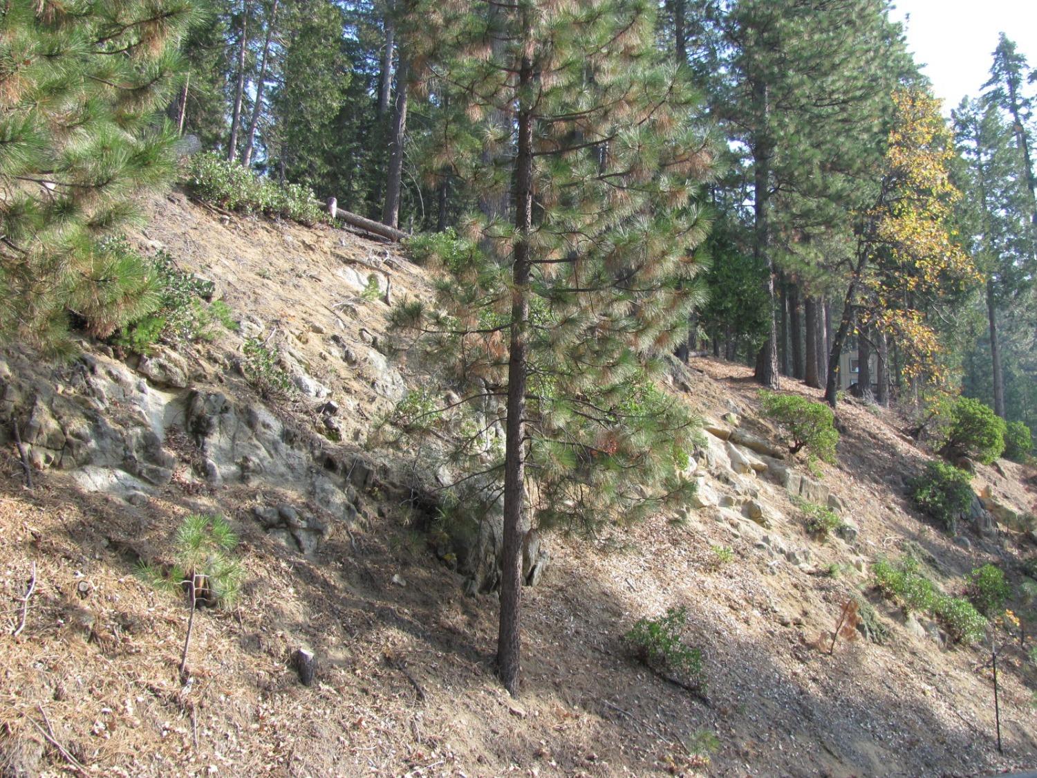 7343 Yosemite Park Way, Yosemite West, CA 95389