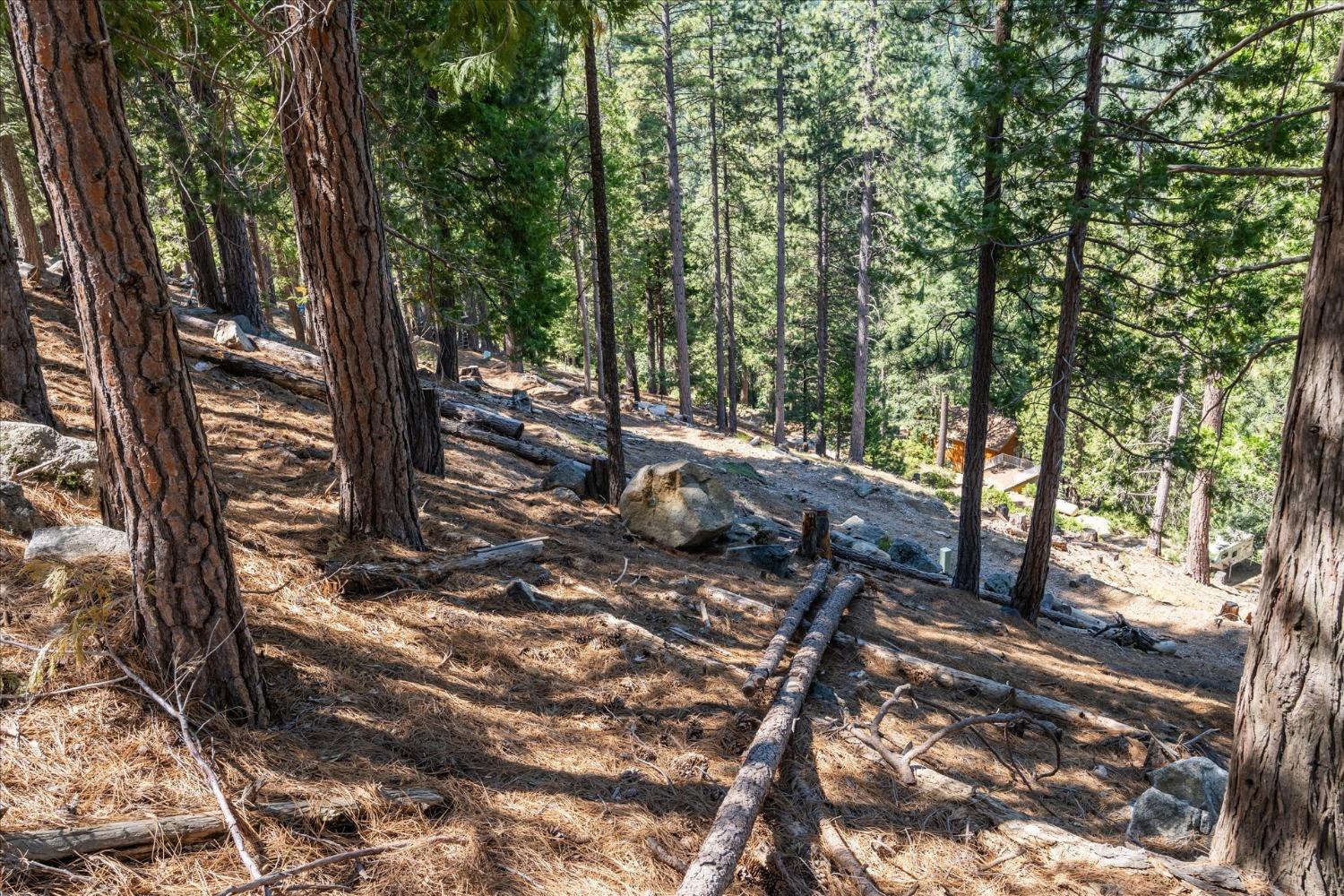7477 Yosemite Park Way, Yosemite West, CA 95389
