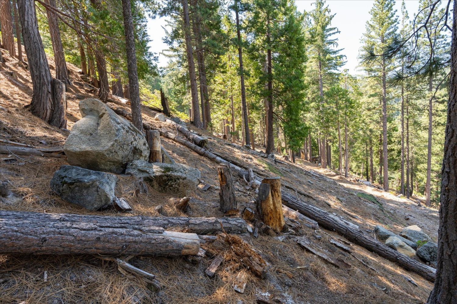 7477 Yosemite Park Way, Yosemite West, CA 95389