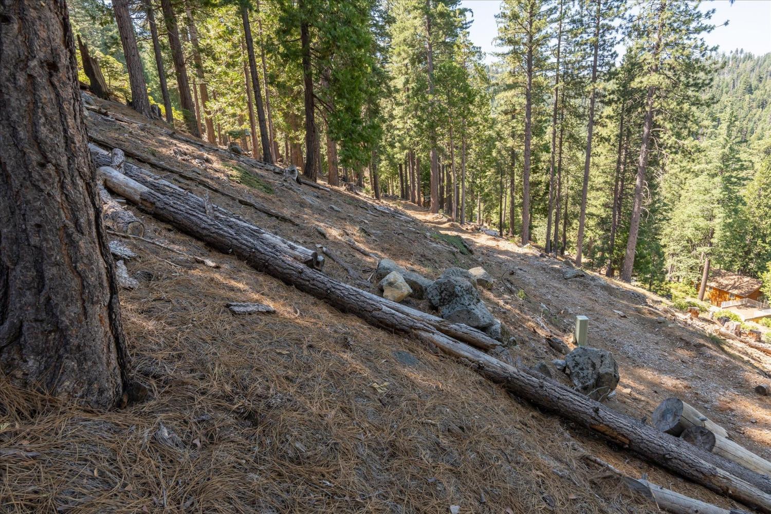 7477 Yosemite Park Way, Yosemite West, CA 95389